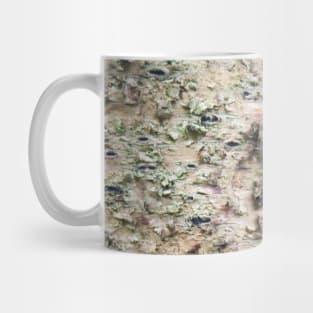 Old torn tree Mug